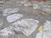 Casa singola in vendita a San Casciano Cascina 210 mq...