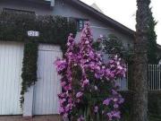 Casa + sobrado, com 6 dormitórios à venda, 350 m² por R$...