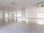 Casa / Sobrado Comercial para Locação em Belo...