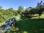 Casa / Sobrado Comercial para Locação em Bento...