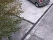 Casa / Sobrado Comercial para Locação em São Bernardo do...