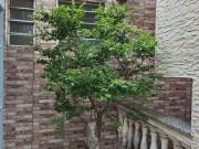 Casa / Sobrado Comercial para Locação em São Paulo/SP...