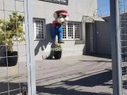 Casa / Sobrado Comercial para Venda em Campinas/SP...