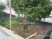 Casa / Sobrado Comercial para Venda em Osasco/SP Bela Vista