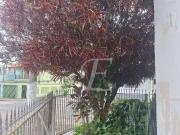 Casa / Sobrado Comercial para Venda em São Paulo/SP Vila...