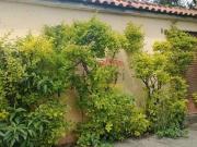 Casa / Sobrado Comercial para Venda em São Paulo/SP Vila...