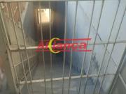 Casa / Sobrado em Condomínio para Locação em...