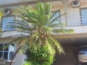 Casa / Sobrado em Condomínio para Locação em Londrina/PR...