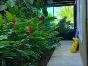 Casa / Sobrado em Condomínio para Locação em São...