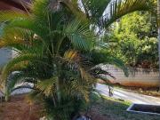 Casa / Sobrado em Condomínio para Venda em Campinas/SP...