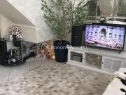 Casa / Sobrado em Condomínio para Venda em Campinas/SP...