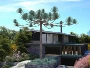 Casa / Sobrado em Condomínio para Venda em Caxias do...