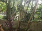 Casa / Sobrado em Condomínio para Venda em Diadema/SP...