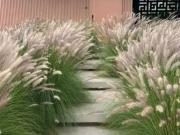 Casa / Sobrado em Condomínio para Venda em Itatiba/SP...