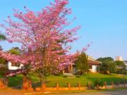 Casa / Sobrado em Condomínio para Venda em Itu/SP City...