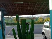 Casa / Sobrado em Condomínio para Venda em Jacareí/SP...