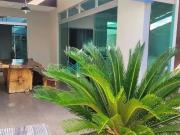 Casa / Sobrado em Condomínio para Venda em Lagoa...