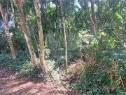 Casa / Sobrado em Condomínio para Venda em Mairiporã/SP...