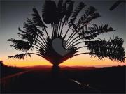 Casa / Sobrado em Condomínio para Venda em Mairiporã/SP...