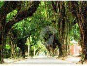 Casa / Sobrado em Condomínio para Venda em Niterói/RJ...