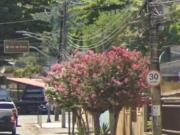 Casa / Sobrado em Condomínio para Venda em Rio de...