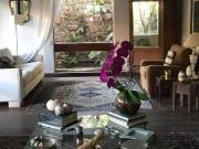 Casa / Sobrado em Condomínio para Venda em Rio de...