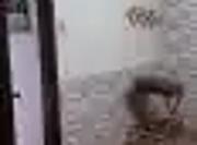 Casa / Sobrado em Condomínio para Venda em Rio de...