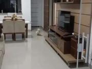 Casa / Sobrado em Condomínio para Venda em São José do...