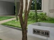 Casa / Sobrado em Condomínio para Venda em São José do...