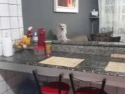 Casa / Sobrado em Condomínio para Venda em São José/SC...