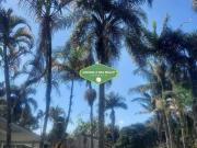 Casa / Sobrado em Condomínio para Venda em São Paulo/SP...