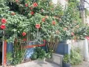 Casa / Sobrado em Condomínio para Venda em São Paulo/SP...