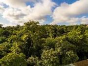 Casa / Sobrado em Condomínio para Venda em Santana de...