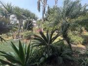 Casa / Sobrado em Condomínio para Venda em Santana de...