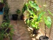 Casa / Sobrado em Condomínio para Venda em Santos/SP...