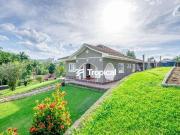 Casa / Sobrado para Locação em Blumenau/SC Velha 4 Quartos