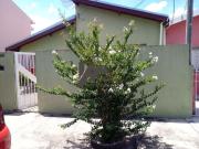 Casa / Sobrado para Locação em Indaiatuba/SP Cidade Nova...