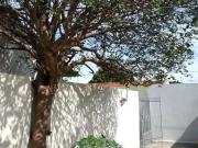 Casa / Sobrado para Locação em São José do Rio Preto/SP...