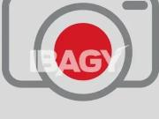 Casa / Sobrado para Locação em São José/SC Real Parque 3...