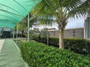 Casa / Sobrado para Locação em São Luís/MA Olho...