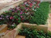 Casa / Sobrado para Locação em São Paulo, Cidade São...