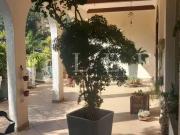 Casa / Sobrado para Locação em São Paulo/SP Boaçava 3...