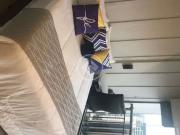 Casa / Sobrado para Locação em São Paulo/SP Indianópolis...