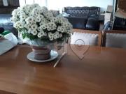 Casa / Sobrado para Locação em São Paulo/SP Perdizes 7...