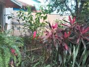 Casa / Sobrado para Locação em São Paulo/SP Sacomã 2 Quartos