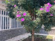 Casa / Sobrado para Locação em São Paulo/SP Santana 3...