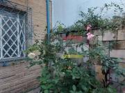 Casa / Sobrado para Locação em São Paulo/SP Santana 4...