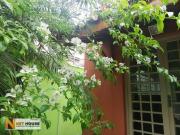 Casa / Sobrado para Locação em São Paulo/SP Vila Mariana... Casa / Sobrado para Locação em São Paulo/SP Vila Mariana...