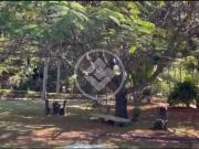 Casa / Sobrado para Locação em Senador Canedo/GO...