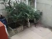 Casa / Sobrado para Venda em Amparo/SP Jardim Cachoeira...